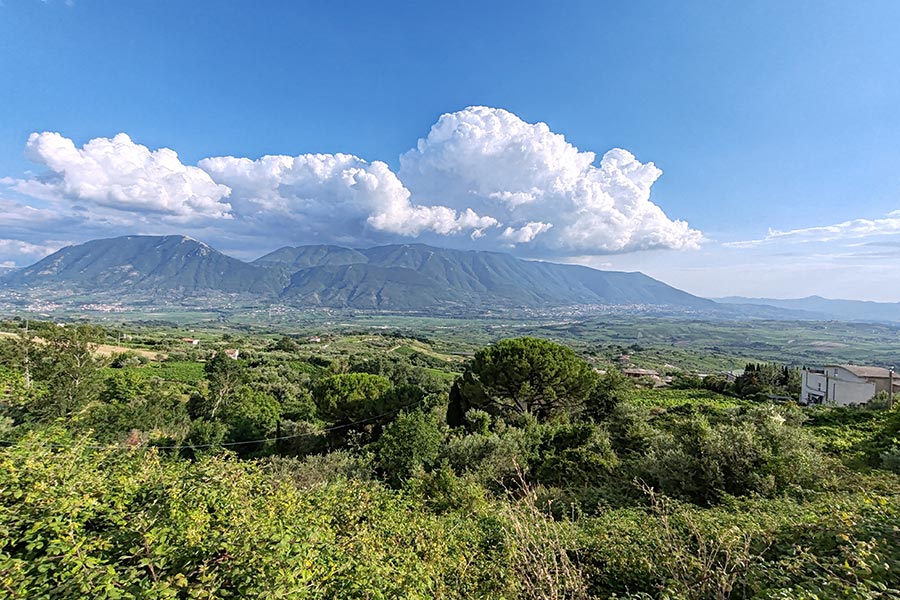 Les vins de Campanie